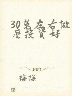 30万左右做什么投资好