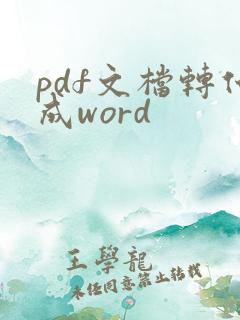 pdf文档转化成word