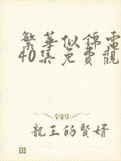 繁华似锦电视剧40集免费观看