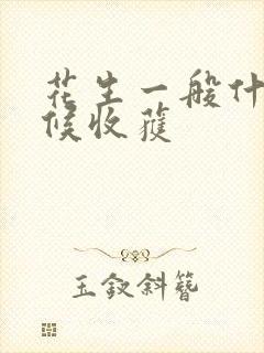 花生一般什么时候收获