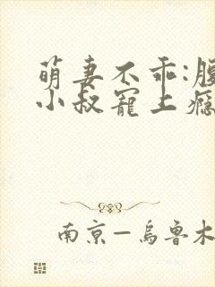萌妻不乖:腹黑小叔宠上瘾皮一下