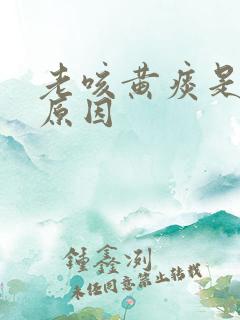 老咳黄痰是什么原因