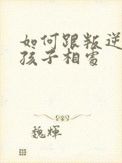 如何跟叛逆期的孩子相处