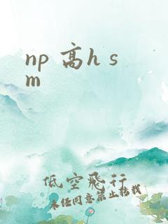 np 高h sm