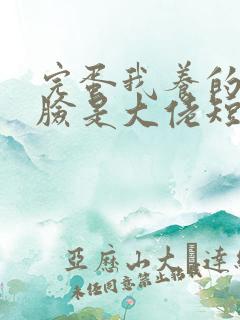 完蛋我养的小白脸是大佬短剧全集