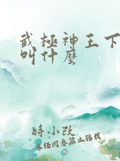 武极神王下一部叫什么