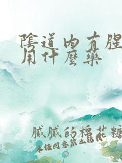 阴道内有腥臭味用什么药