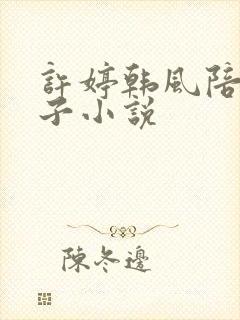 许婷韩风陪读日子小说
