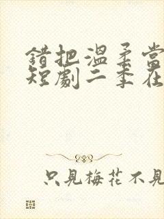 错把温柔当情深短剧二季在线观看