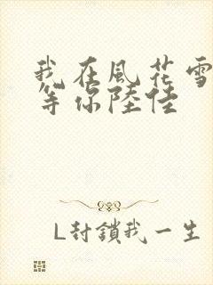 我在风花雪月里等你陆佳