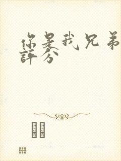 你是我兄弟豆瓣评分