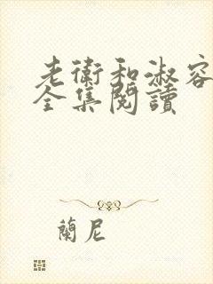 老卫和淑容小说全集阅读