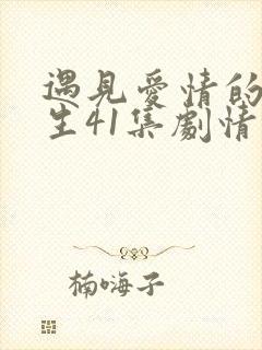 遇见爱情的利先生41集剧情