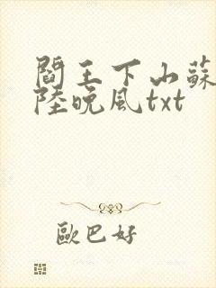 阎王下山苏文,陆晚风txt