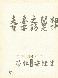 夫妻之间相处最重要的是什么
