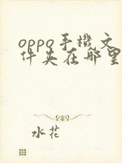 oppo手机文件夹在哪里