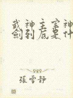 武神主宰神秘锈剑到底是什么