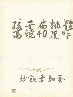 孩子扁桃体发炎高烧40度咋办