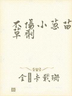 不伤小葱苗后除草剂