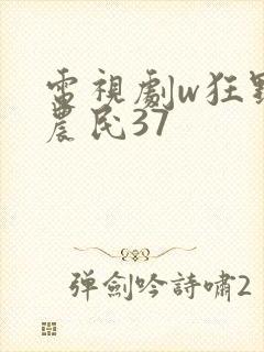 电视剧w狂野小农民37