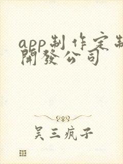 app制作定制开发公司