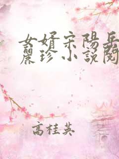 女婿宋阳岳母陈丽珍小说阅读