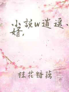 小说w逍遥小贵婿,