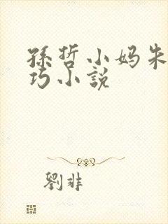 孙哲小妈朱颜叶巧小说