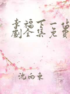 幸福下一站电视剧全集免费观看