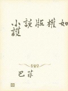 小说版权如何保护