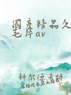 国产精品久久久毛片av