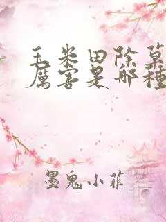 玉米田除草剂最厉害是哪种