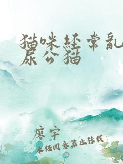 猫咪经常乱拉乱尿公猫