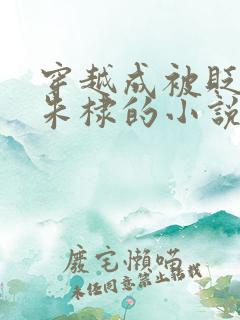 穿越成被贬皇子朱棣的小说