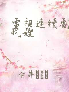电视连续剧我哥我嫂