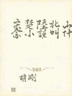 宋楚陆北山宋昔念小说叫什么名字
