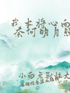 我本将心向明月 奈何明月照沟渠翻译
