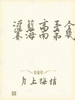 灌篮高手全国大赛海南第几名