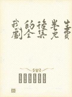 我的后半生电视剧全集免费播放