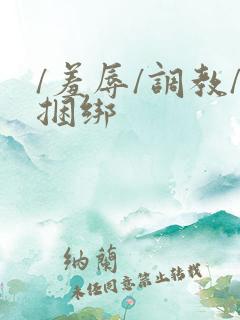 /羞辱/调教/捆绑