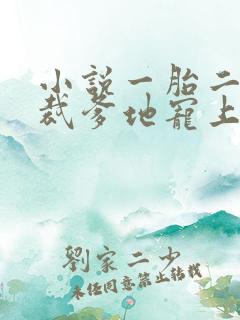 小说一胎二宝总裁爹地宠上天