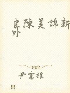 良陈美锦新增番外