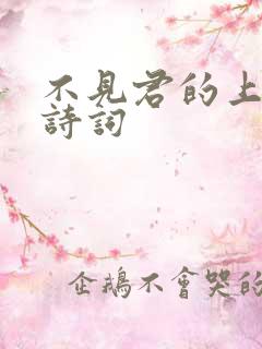 不见君的上一句诗词