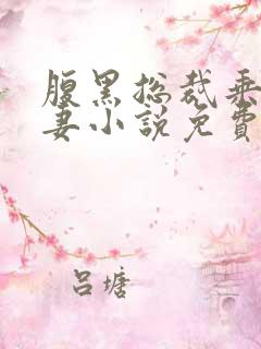 腹黑总裁乘胜追妻小说免费阅读