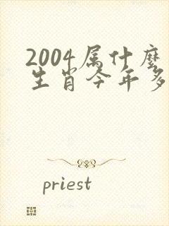 2004属什么生肖今年多大了