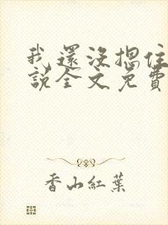 我还没摁住她小说全文免费阅读无弹窗