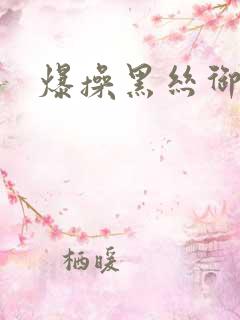 爆操黑丝御姐