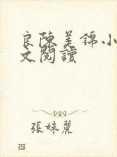 良陈美锦小说全文阅读