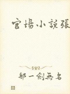 官场小说张梅