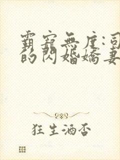 霸宠无度:司少的闪婚娇妻